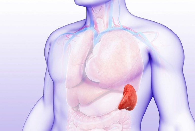 دکتر طحال برداری (اسپلنکتومی) - بندرعباس